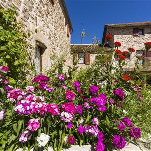 Maison d'hôtes Les Caselles - Millau Aveyron