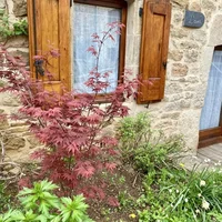 Family bed and breakfast in Aveyron near Millau, towards Rodez, viaduct, gorges du tarn
